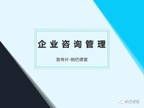 企业管理咨询 赋能企业高效发展的智慧引擎