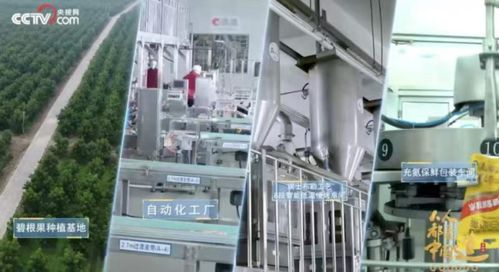 洽洽食品荣膺“十四五”双项殊荣，树立坚果行业管理新标杆